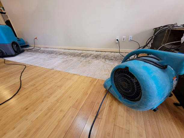 Professional Water Extraction technician working in East Wareham, MA